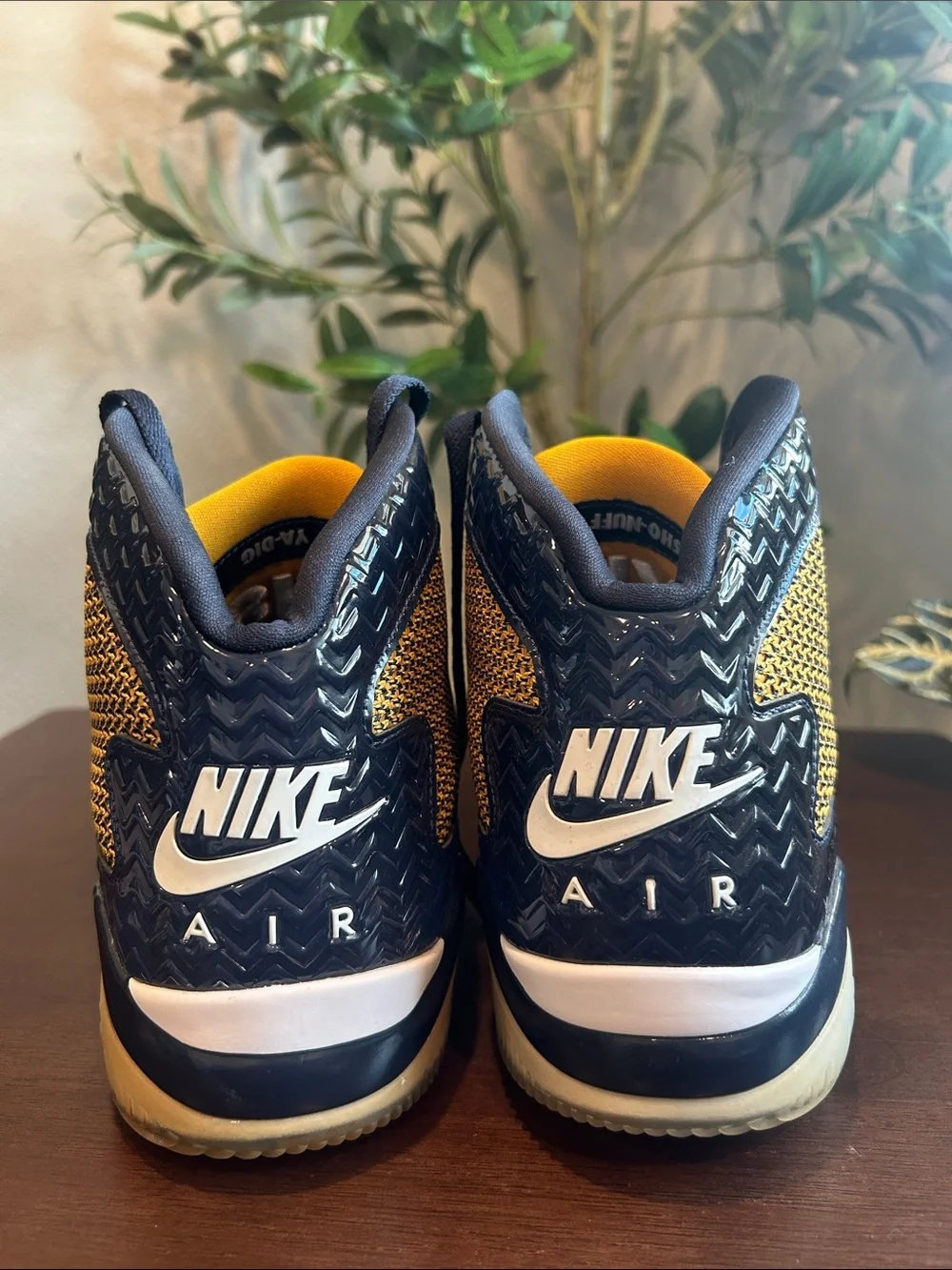 Nike Air Jordan Spike Forty 